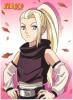 Guest_ino1319