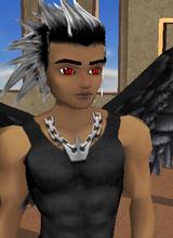 Guest_archer2444