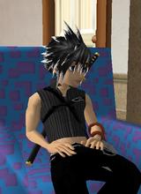 Guest_plemert