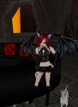 Guest_SaharaWinter