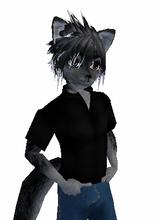Guest_Bluerocker555
