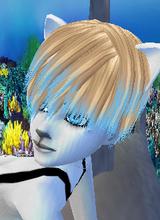 orlith