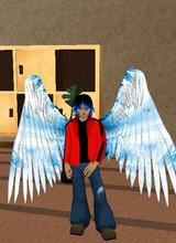 Guest_Darkendhalo