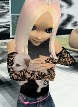 Guest_meredithgre