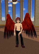 Guest_CalvinWaite