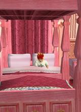 Guest_Hanno0