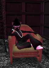 Guest_Brice001