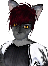 Tasuki3