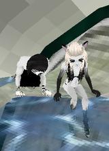 Guest_jrlubmonkey