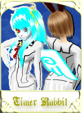 TimerRabbit