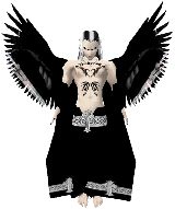NiTeRaVeN7