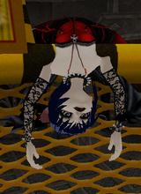 Guest_AshieKat