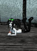 Guest_casketzombies