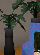 Guest_waters2