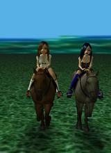 Guest_Dixie41602