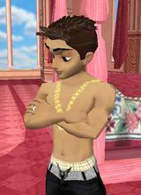 elvisMart_disabled_14261687