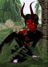 Darkwasp