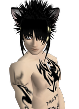 Guest_Niicck00