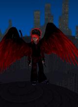 Guest_segev26