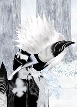 Guest_Aruvisu