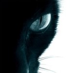 Guest_TwoHornedAngel_disabled_14419151