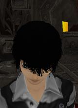 Guest_sandell123