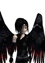 Guest_XXXfirenXXX