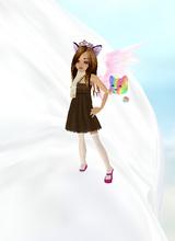 Guest_Catlover229
