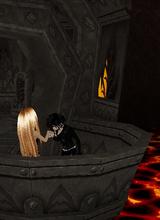 Guest_LynnBZN