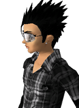 avatar picture