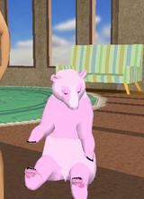 Guest_AcatCicerjo