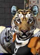 Tigerstylez