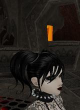 Guest_Indovi