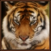 Guest_kickan717