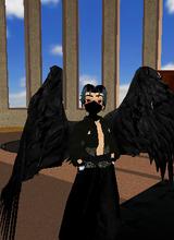 Guest_aster001