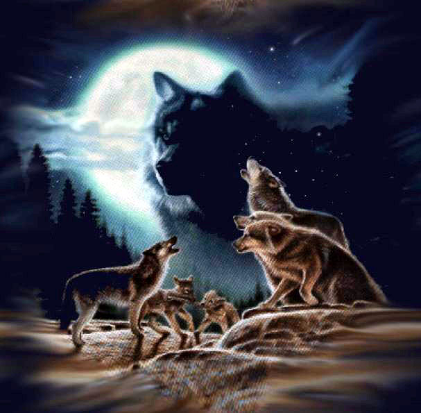 avatar picture