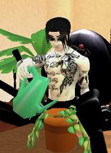 Guest_Isicar