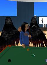 Guest_canorec5