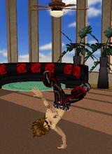 Guest_Brandon1194