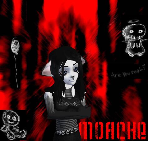 Guest_Moache