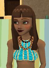 Guest_AMIESA