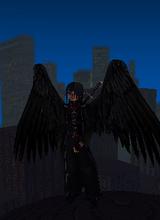 Guest_sora2421