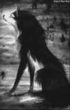 MidnightShadowWolf