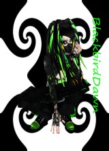 BlackbirdDawn