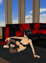 Guest_dominicangirl29