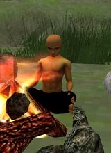 TheTigerofLao