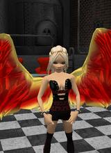 Guest_13027487