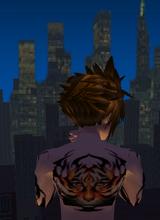 Guest_SkaterCarmo