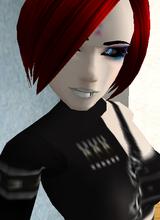 Guest_liasonswithlions