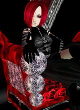 Guest_liasonswithlions